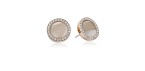 Fossil Shimmer Horn Stud Earrings Fossil Shimmer Horn Stud Earrings